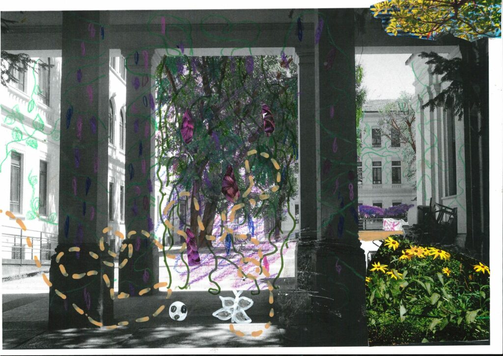 Anita immagina la scuola Bodio come un enorme giardino colorato, con piante rampicanti e tanti fiori.